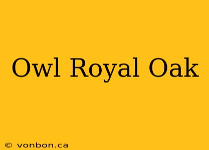 Owl Royal Oak