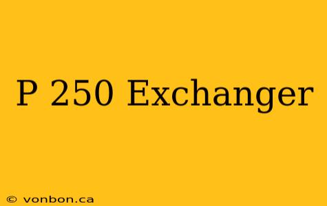 P 250 Exchanger