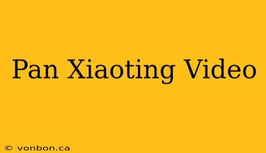 Pan Xiaoting Video