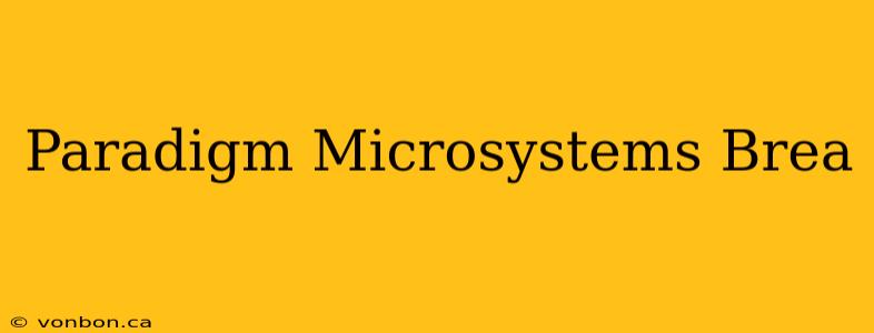 Paradigm Microsystems Brea