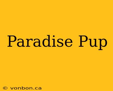 Paradise Pup