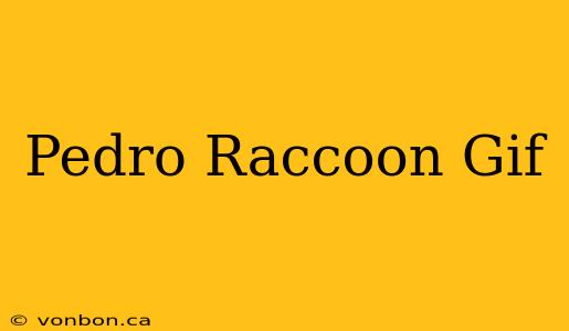 Pedro Raccoon Gif