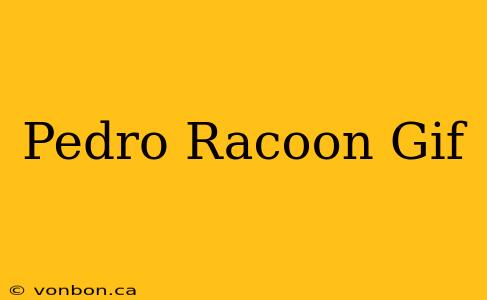 Pedro Racoon Gif