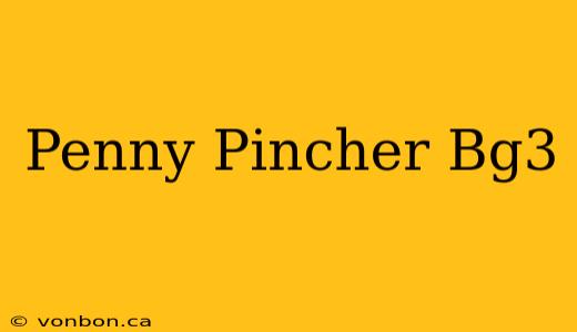 Penny Pincher Bg3