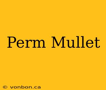 Perm Mullet