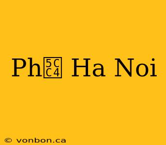 Ph峄 Ha Noi