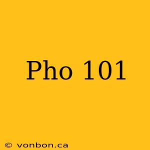 Pho 101