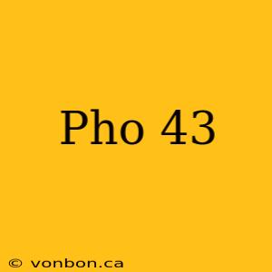 Pho 43