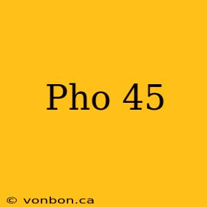 Pho 45