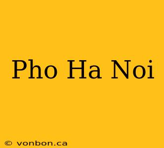 Pho Ha Noi