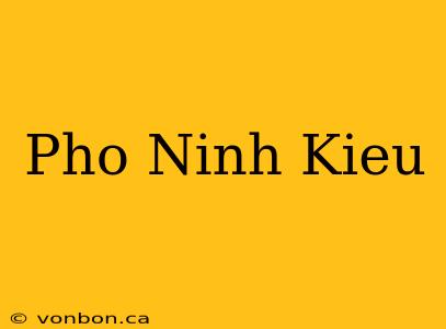 Pho Ninh Kieu