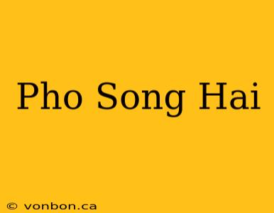 Pho Song Hai