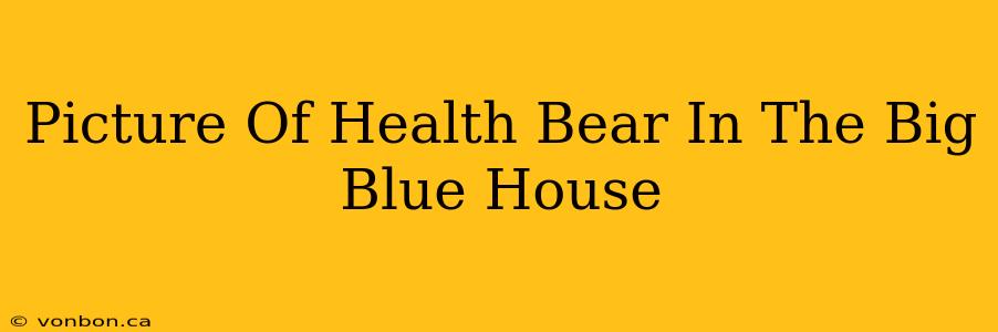 Picture Of Health Bear In The Big Blue House