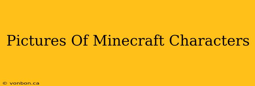 Pictures Of Minecraft Characters