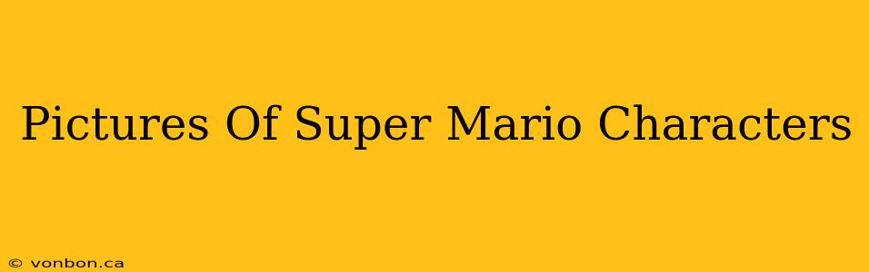 Pictures Of Super Mario Characters