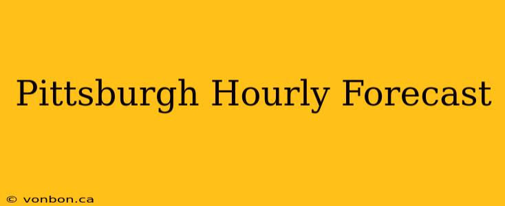 Pittsburgh Hourly Forecast