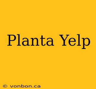 Planta Yelp