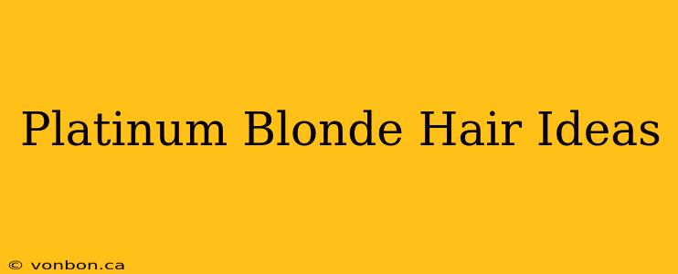 Platinum Blonde Hair Ideas