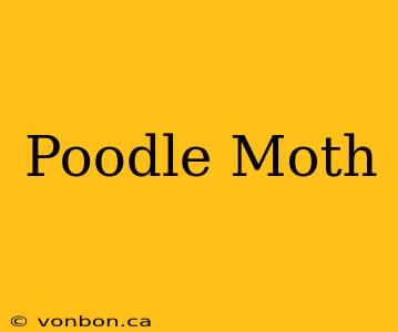 Poodle Moth