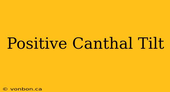 Positive Canthal Tilt