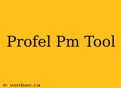 Profel Pm Tool