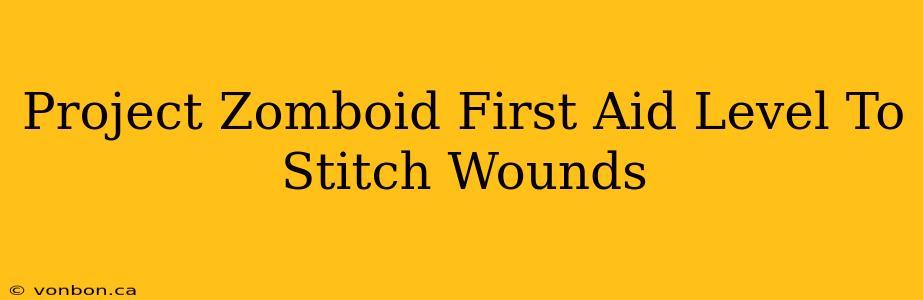 Project Zomboid First Aid Level To Stitch Wounds