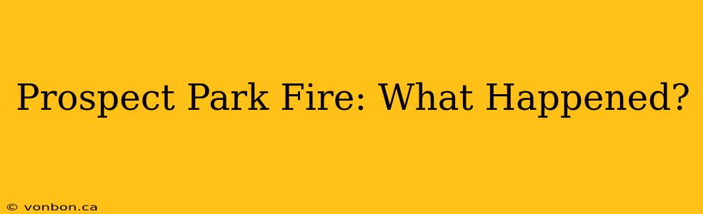Prospect Park Fire: What Happened?