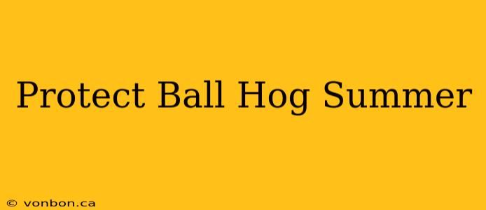 Protect Ball Hog Summer