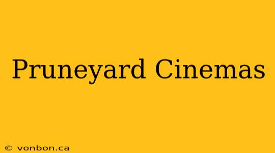 Pruneyard Cinemas