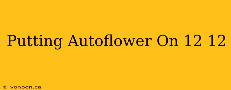 Putting Autoflower On 12 12