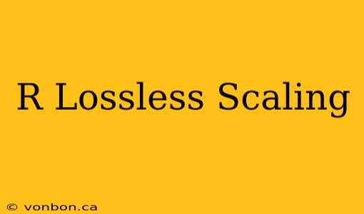 R Lossless Scaling