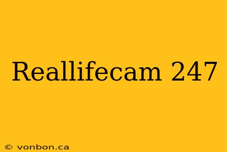 Reallifecam 247