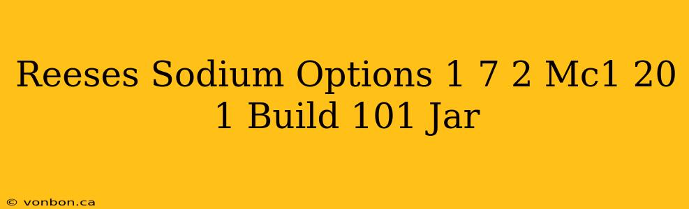 Reeses Sodium Options 1 7 2 Mc1 20 1 Build 101 Jar