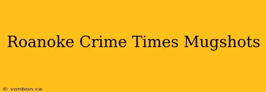 Roanoke Crime Times Mugshots