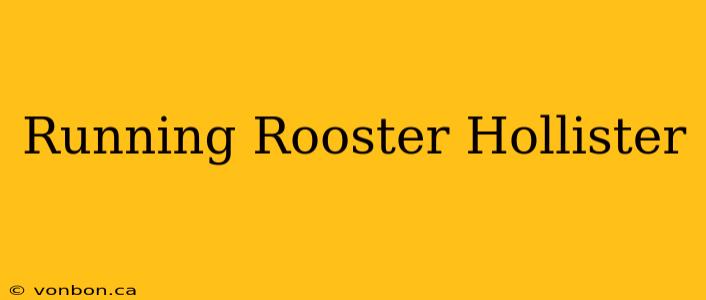 Running Rooster Hollister