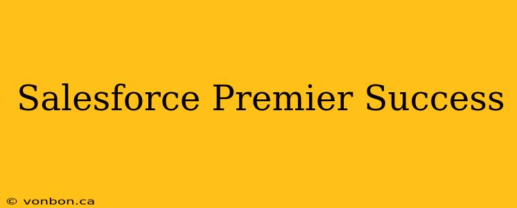 Salesforce Premier Success