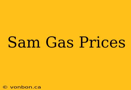 Sam Gas Prices