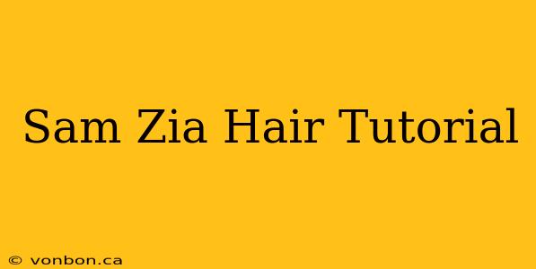 Sam Zia Hair Tutorial