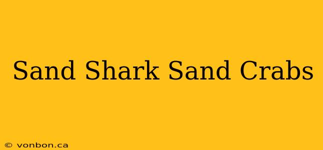 Sand Shark Sand Crabs