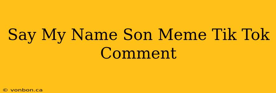 Say My Name Son Meme Tik Tok Comment