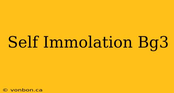 Self Immolation Bg3