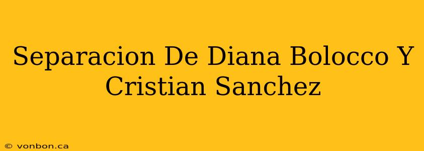 Separacion De Diana Bolocco Y Cristian Sanchez