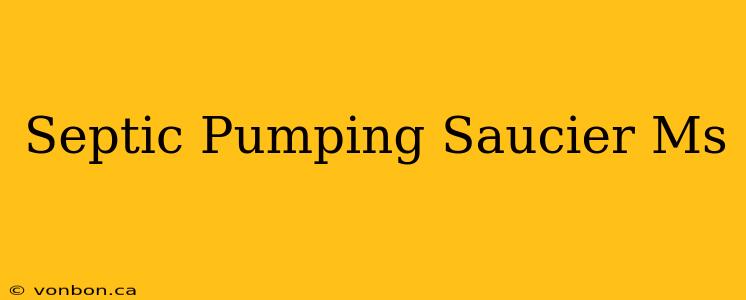 Septic Pumping Saucier Ms