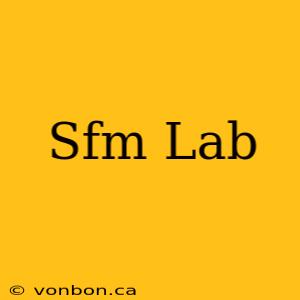 Sfm Lab