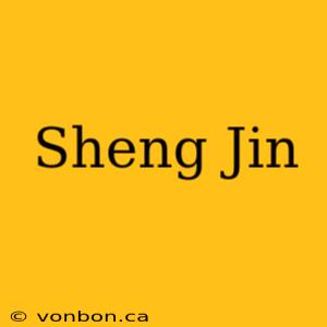 Sheng Jin