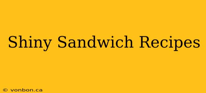 Shiny Sandwich Recipes