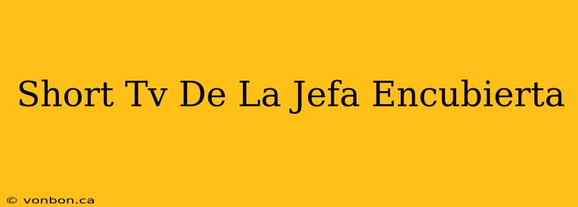 Short Tv De La Jefa Encubierta