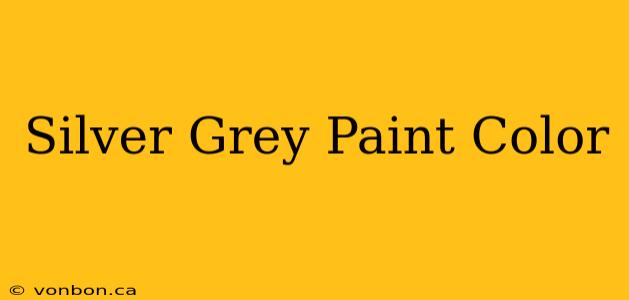 Silver Grey Paint Color