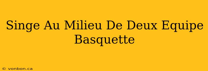 Singe Au Milieu De Deux Equipe Basquette