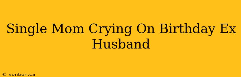 Single Mom Crying On Birthday Ex Husband